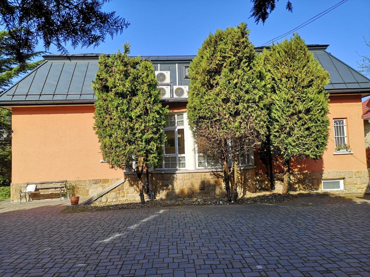 Kikelet Villa Dunakeszi Zewnętrze zdjęcie